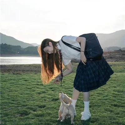 少数意见